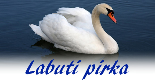 Labuti pirka